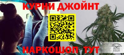 гашиш Кингисепп