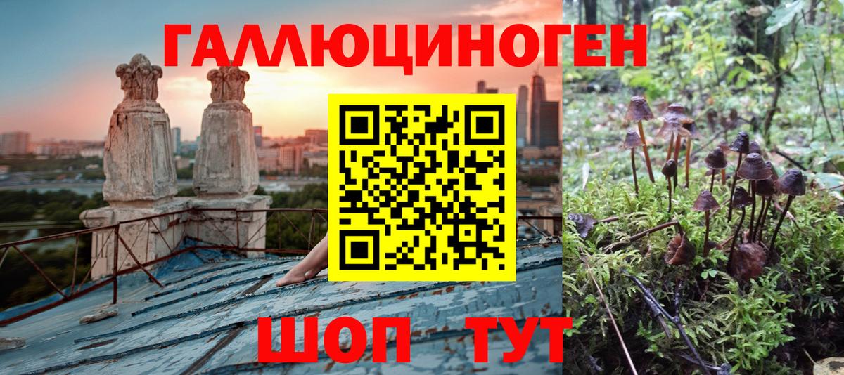 Кохма  Галлюциногенные грибы Magic Shrooms  Вход с VPN 