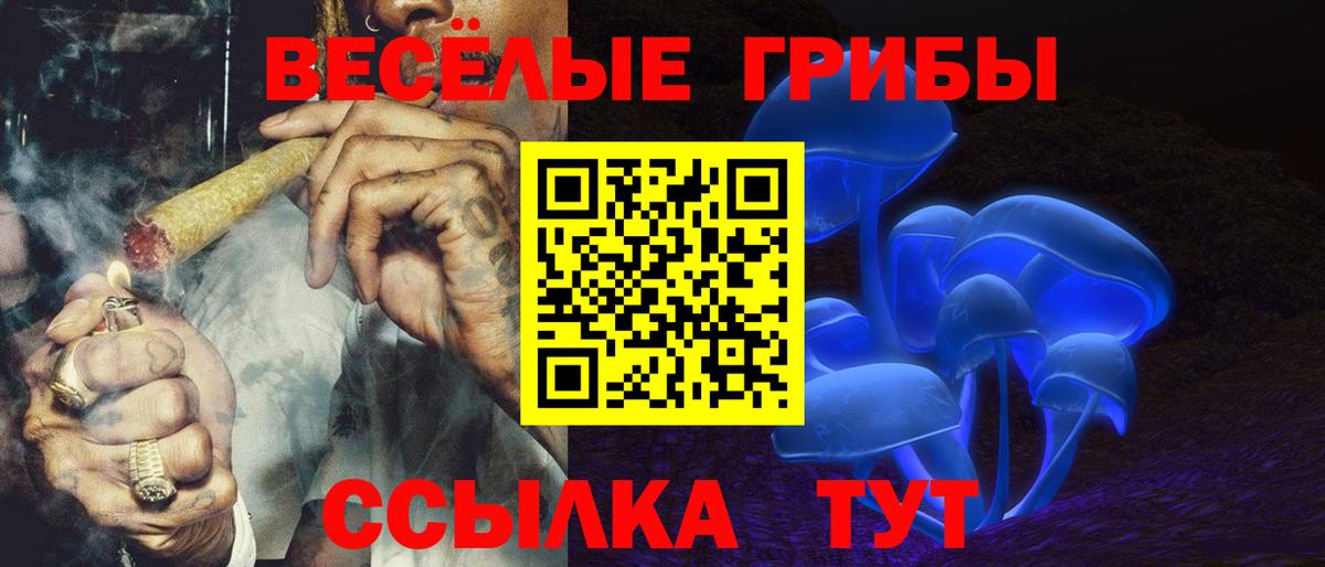 Псилоцибиновые грибы мухоморы Кохма